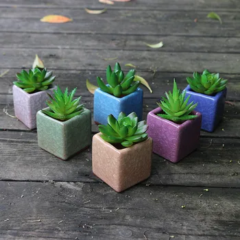 Ceramic Ice Crack Zisha Raised Serial Succulent Plant Pot Cactus Plant Flower Pot Container Full Colors Package 1 Pack of 6
Ceramic Ice Crack Zisha Raised Serial Succulent Plant Pot Cactus Plant Flower Pot Container Full Colors Package 1 Pack of 6