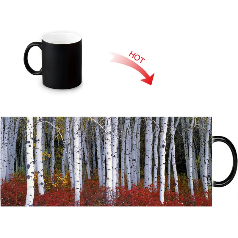 birch forest Magic Morphing Mug Heat Color Change Tea Milk Water Cup Ceramic Custom Coffee Mugs Birthday Gifts 350ml
birch forest Magic Morphing Mug Heat Color Change Tea Milk Water Cup Ceramic Custom Coffee Mugs Birthday Gifts 350ml
