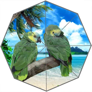 New New Arrive Three Fold Rain Sun Umbrella- Animal Parrots Standing On The Branch UV Protection Umbrellas For Travel WT#825&
New New Arrive Three Fold Rain Sun Umbrella- Animal Parrots Standing On The Branch UV Protection Umbrellas For Travel WT#825&