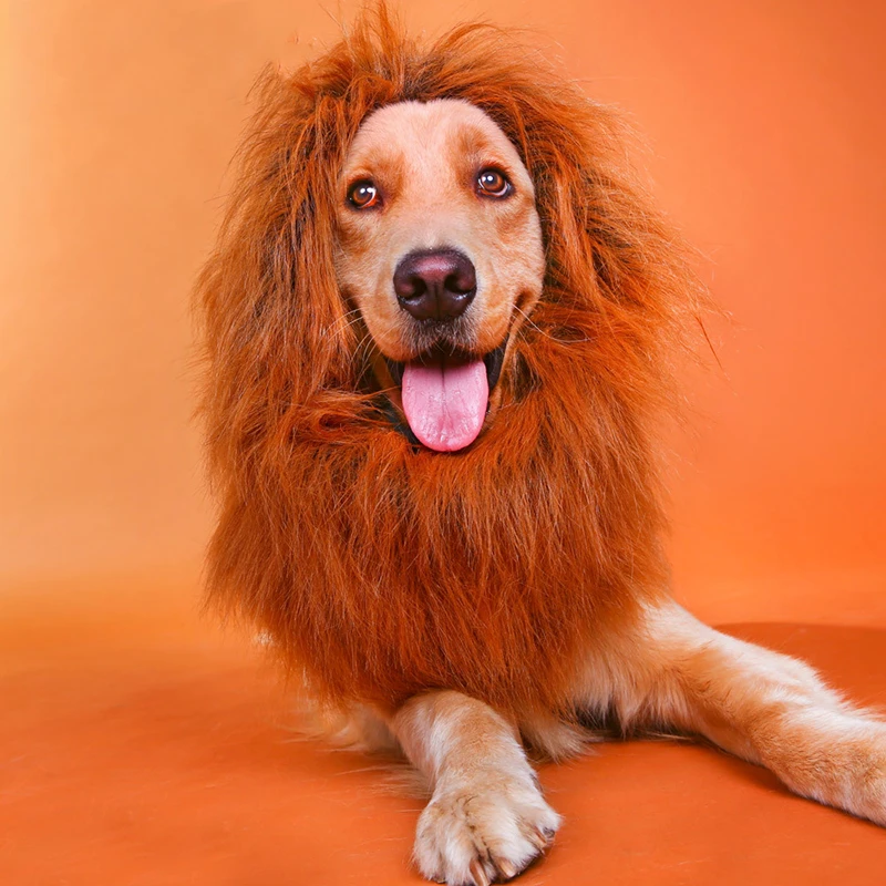 Cool Pet Dog Cat Lion Wigs Mane Hair Costume Product Festival Party Fancy Dress Mane Head Cap for samll large pet
Cool Pet Dog Cat Lion Wigs Mane Hair Costume Product Festival Party Fancy Dress Mane Head Cap for samll large pet