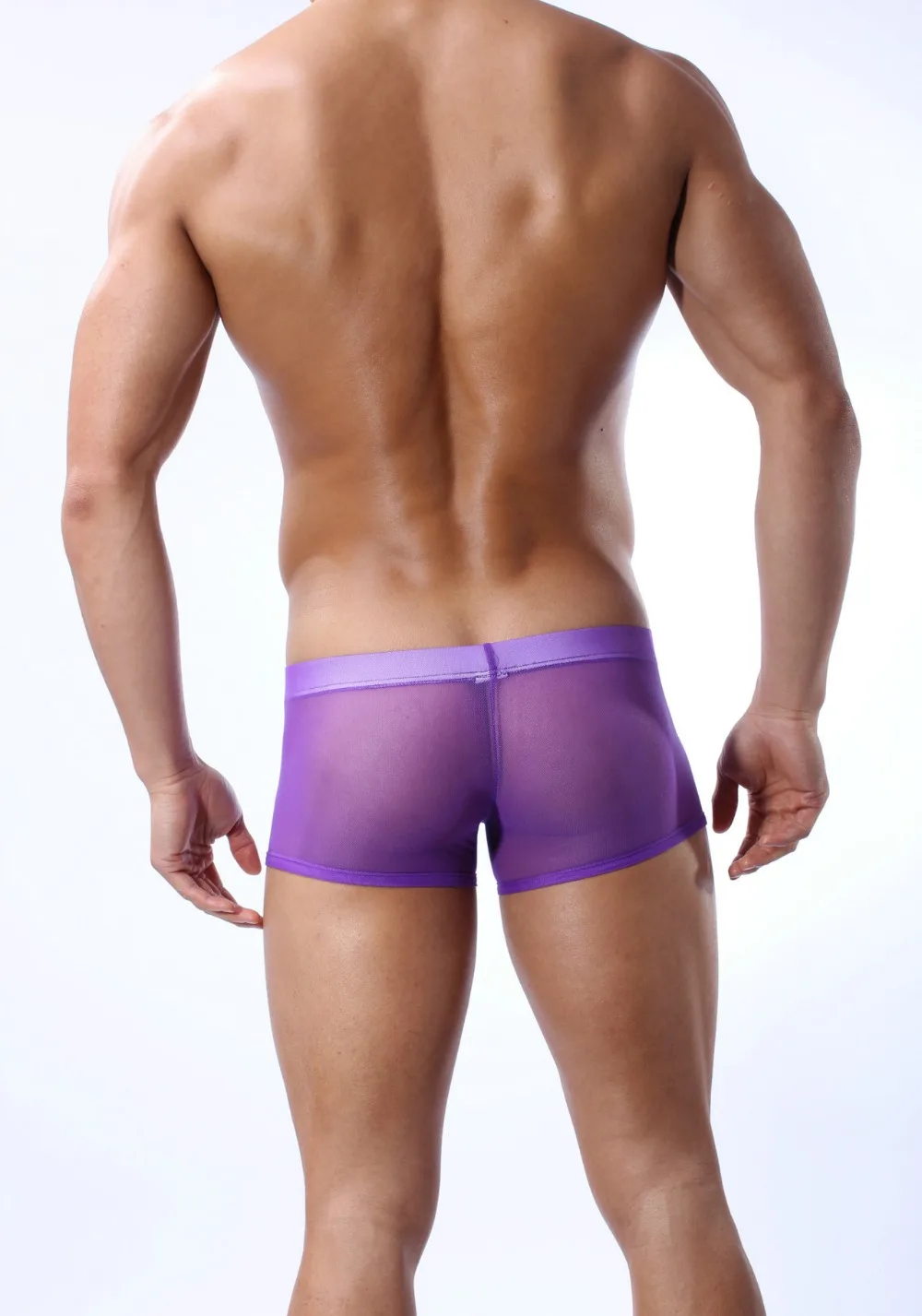 B1002purple3