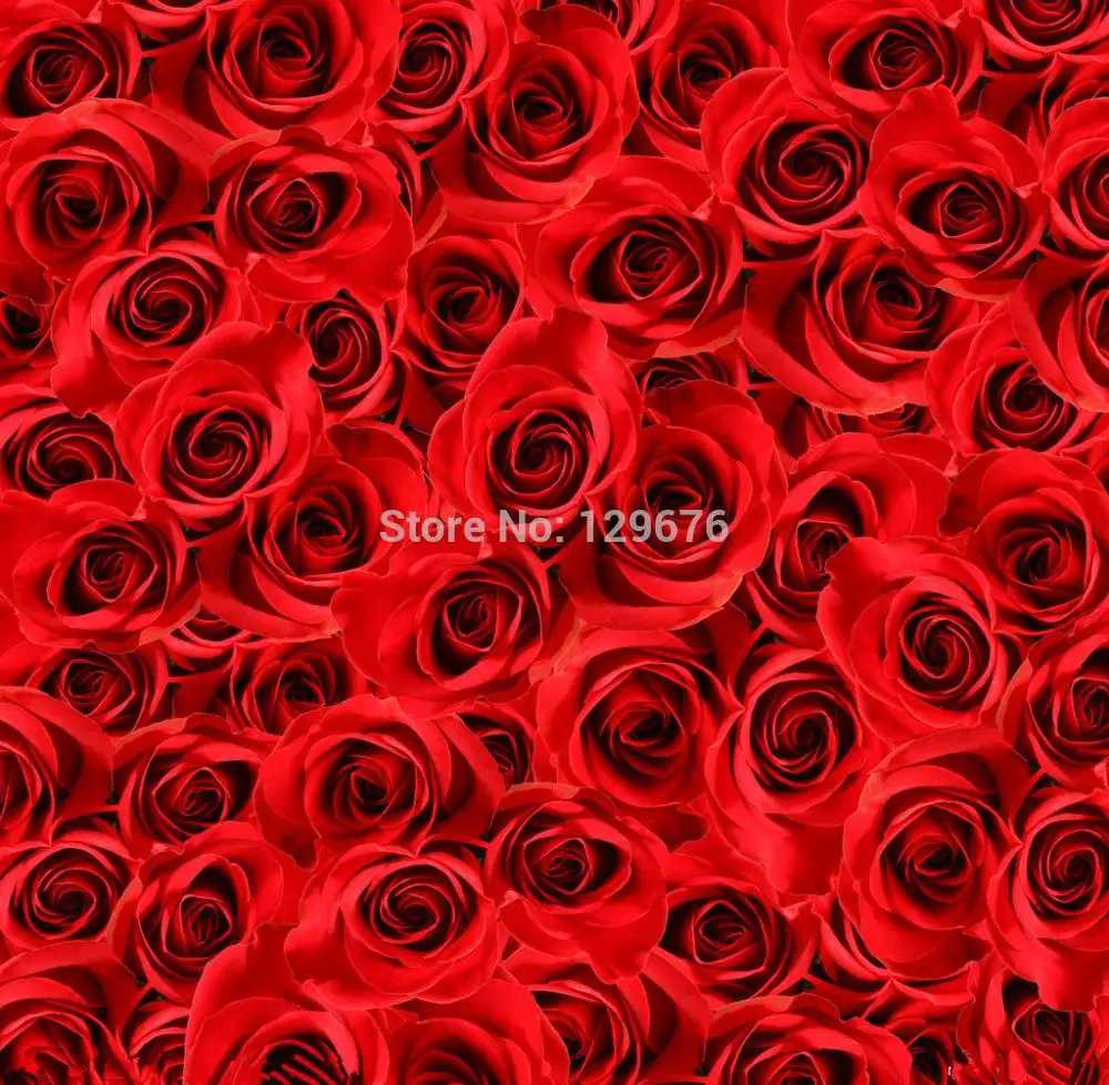 10x10ft Valentine's day theme Photography Backdrops Vinyl Prop Photo Studio Background QRL283