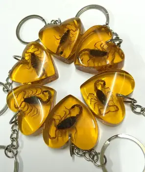 Free Shipping 17 pcs real insect golden scorpion key ring fashion heart style keychain
Free Shipping 17 pcs real insect golden scorpion key ring fashion heart style keychain