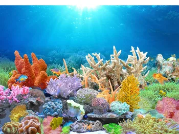 Custom Photo Wallpaper Coral Reef Goldfish Tank HD TV Background Wall Decoration Mural Wallpaper
Custom Photo Wallpaper Coral Reef Goldfish Tank HD TV Background Wall Decoration Mural Wallpaper
