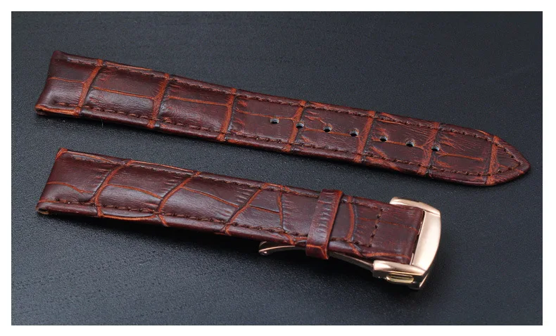 2924669165_1417998351