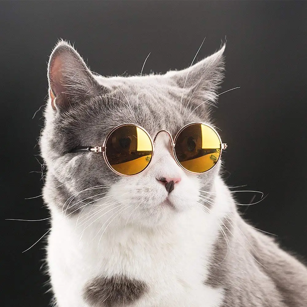 3PCS Cool Stylish and Funny Cute Pet Sunglasses Classic Retro Circular Metal Prince Sunglasses for Cat Chihuahua or Small Dogs
3PCS Cool Stylish and Funny Cute Pet Sunglasses Classic Retro Circular Metal Prince Sunglasses for Cat Chihuahua or Small Dogs