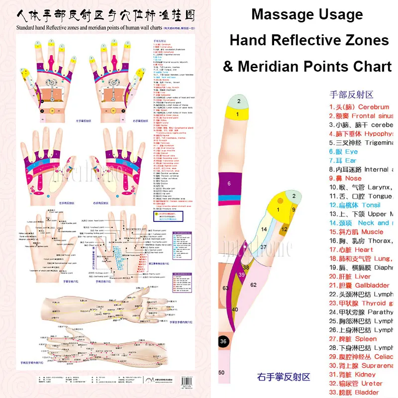 Standard Meridian Acupuncture Points Chart and ZhenJiu Moxibustion