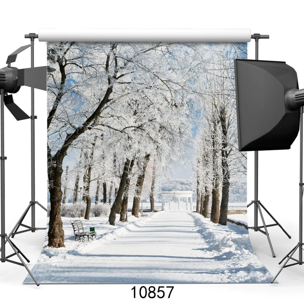 Vacaciones Invierno Frost Bosque Naturaleza Pa/ís de Las Maravillas Tel/ón de Fondo Blanco Nieve /Árbol Puente Fotograf/ía de Fondo y Accesorios de Estudio