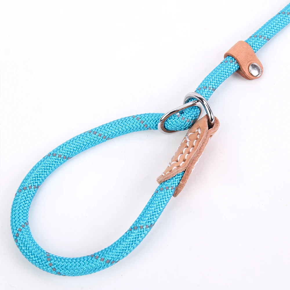 Dog Leash PY0237-6