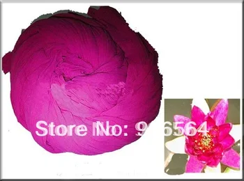 Fuchsia color mesh flowers,nylon stocking material for DIY flower,20pcs/lot free shipping
Fuchsia color mesh flowers,nylon stocking material for DIY flower,20pcs/lot free shipping