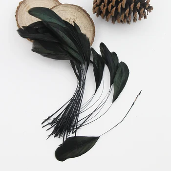 6-8 Inch(15-20 cm) Artificially Selected Dyed Black Stripped Coque Rooster Tail Feather
6-8 Inch(15-20 cm) Artificially Selected Dyed Black Stripped Coque Rooster Tail Feather