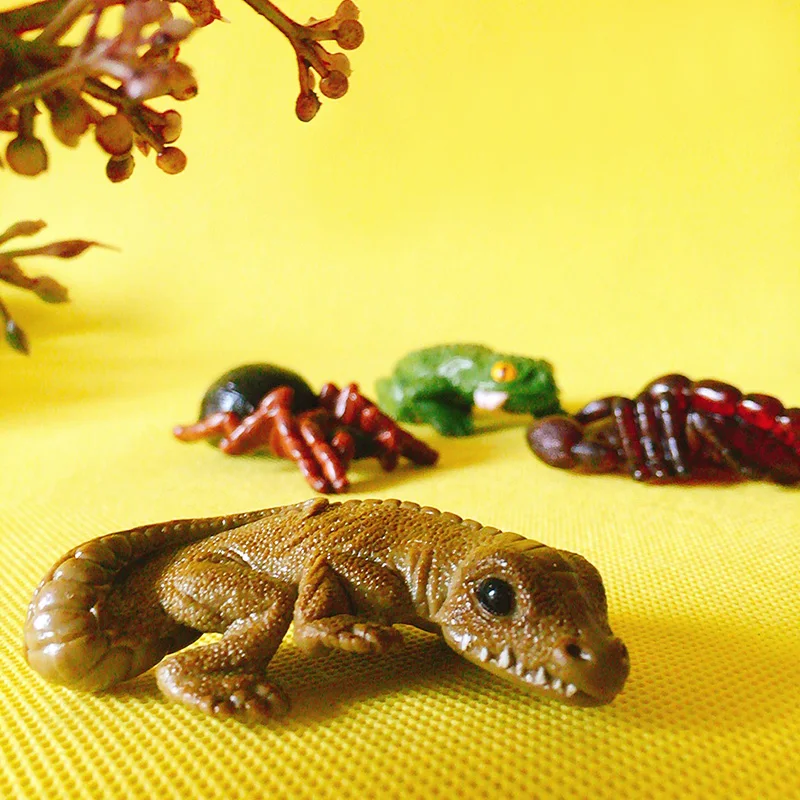 Prehistoric animals Scorpion insect Toad/miniatures/fairy garden gnome/moss terrarium decor/bonsai/doll house/figurine/model/toy
Prehistoric animals Scorpion insect Toad/miniatures/fairy garden gnome/moss terrarium decor/bonsai/doll house/figurine/model/toy