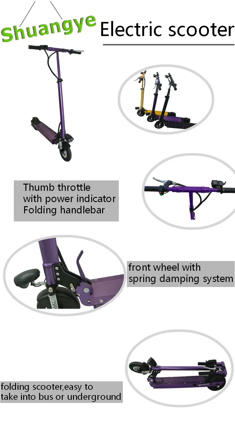 electric scooter (1)