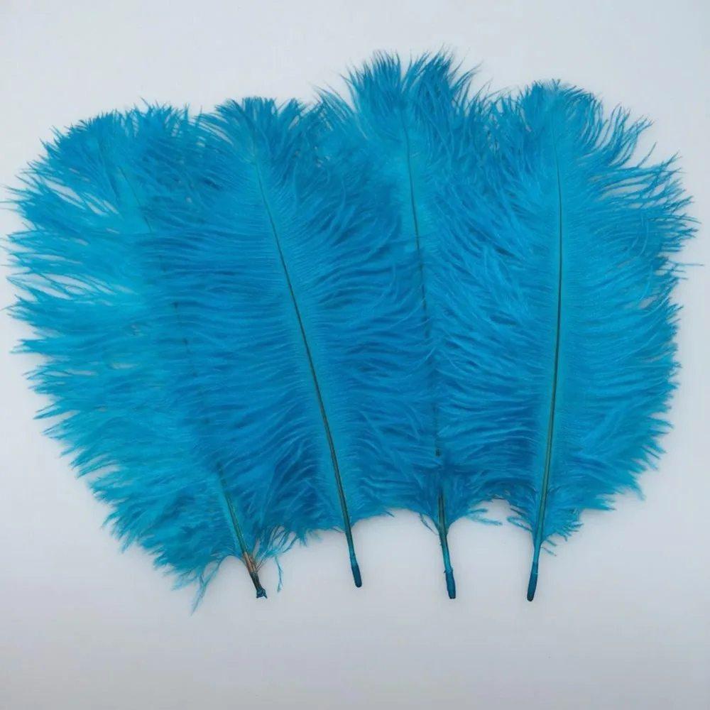 Hard rod 10 Pcs/Lot natural turquoise blue Ostrich Feathers For Crafts 15-75CM Carnival Party Wedding Decorations plumes
Hard rod 10 Pcs/Lot natural turquoise blue Ostrich Feathers For Crafts 15-75CM Carnival Party Wedding Decorations plumes