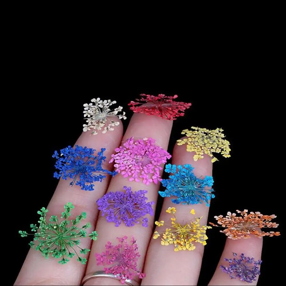 12 цветов настоящий высушенный цветок для ногтей искусство декоративные наклейки