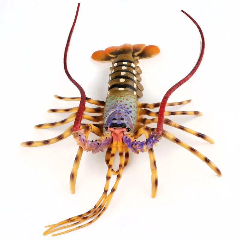 Simulation Sea Marine Animal Boston Lobster Australian Lobster Funny Animal Model Boy Kids Children Toy
Simulation Sea Marine Animal Boston Lobster Australian Lobster Funny Animal Model Boy Kids Children Toy