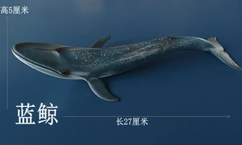 Marine creature, great white shark, fish model, toy model, model fish, animal model
Marine creature, great white shark, fish model, toy model, model fish, animal model