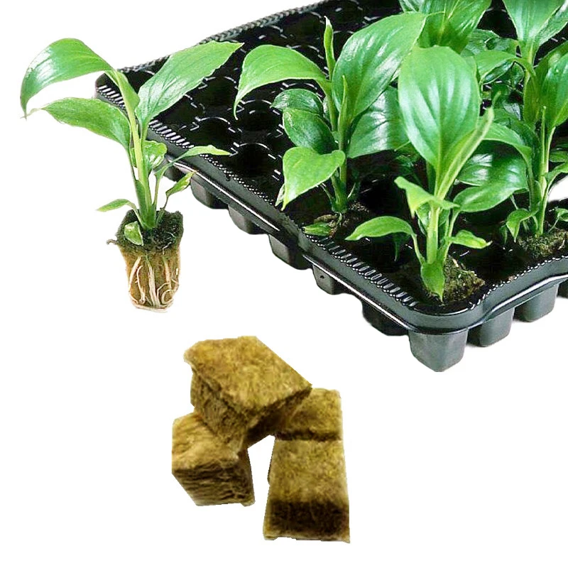 Ventilative Practical Home Garden Supplies Planting Soilless Cultivation Rockwool Cubes Hydroponic Grow Mini Block Compress Base
Ventilative Practical Home Garden Supplies Planting Soilless Cultivation Rockwool Cubes Hydroponic Grow Mini Block Compress Base
