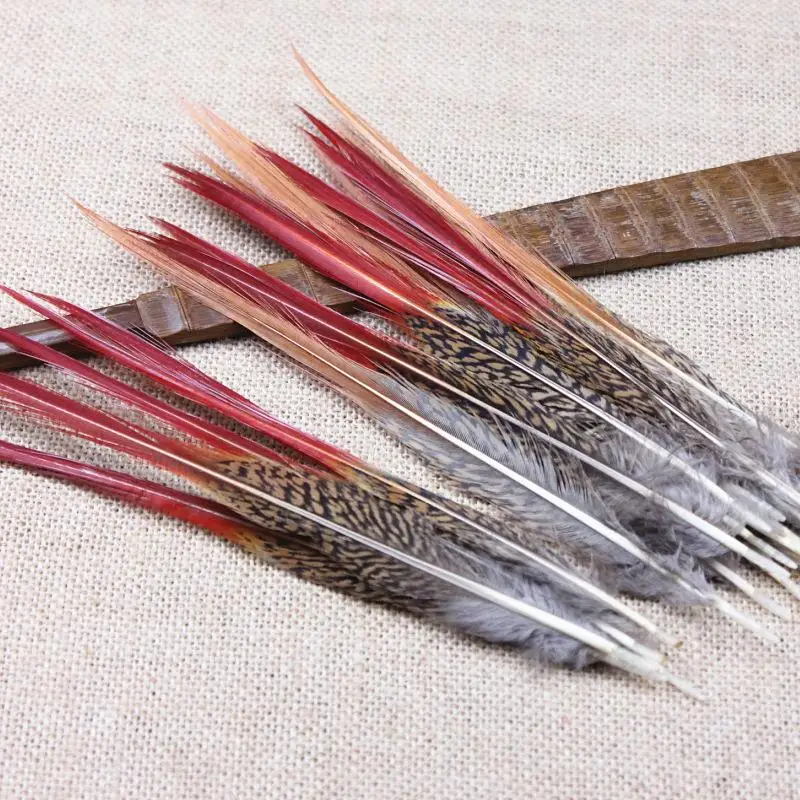 20pcs pheasant feathers red sword rare feathers bulk feather fly fishing tying accessories material high quality 16-20CM
20pcs pheasant feathers red sword rare feathers bulk feather fly fishing tying accessories material high quality 16-20CM