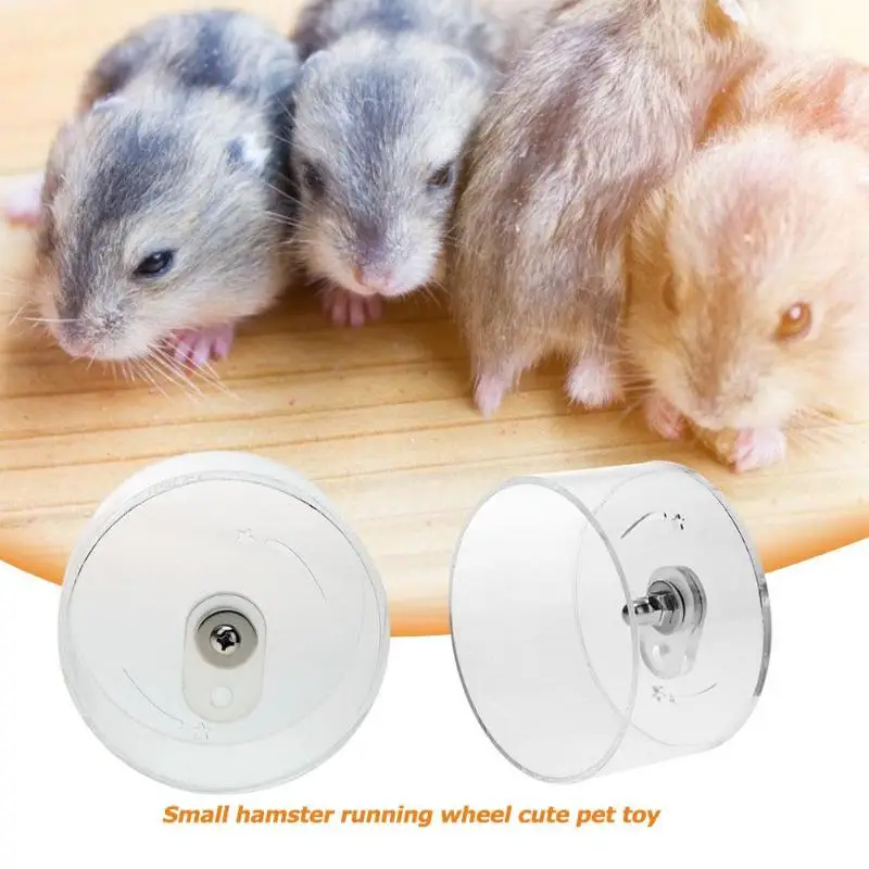 Hamster Running Wheels Transparent Hamster Exercise Wheel Running Jogging Slient Treadmill Silent Small Pet Supplies 2019
Hamster Running Wheels Transparent Hamster Exercise Wheel Running Jogging Slient Treadmill Silent Small Pet Supplies 2019