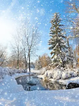 Snow Forest River Winter woods Scene Backgrounds Vinyl cloth High quality Computer printed wall backdrop
Snow Forest River Winter woods Scene Backgrounds Vinyl cloth High quality Computer printed wall backdrop