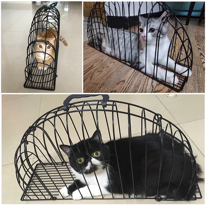 Metal Cage Washing Cat Pet Cage Cat House Rabbit Washing Cage Puppy Dog Artifact Anti-grab Bite Cat Bath Tools Pet Supplies Cat
Metal Cage Washing Cat Pet Cage Cat House Rabbit Washing Cage Puppy Dog Artifact Anti-grab Bite Cat Bath Tools Pet Supplies Cat