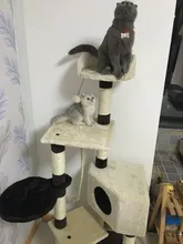 HTB1Bkd7JVXXXXbPXVXXq6xXFXXXK