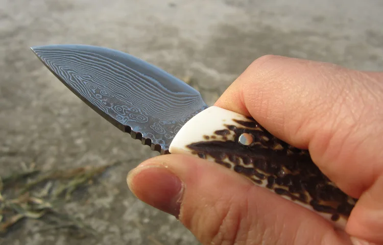 3602864246_742635196