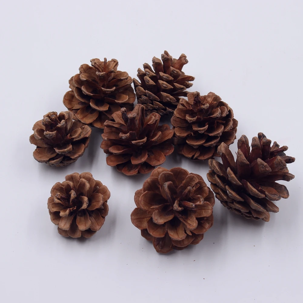 30pcs Pine Nuts Handmade Artificial Plant For Wedding Home Decoration DIY Handiwork Accessories fleurs Scrapbooking Pine Tower
30pcs Pine Nuts Handmade Artificial Plant For Wedding Home Decoration DIY Handiwork Accessories fleurs Scrapbooking Pine Tower