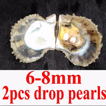 50 pcs oysters (100pcs pearls) Love wish pearl oyster 6-8mm TWINS drop pearls in oyster with vacuum-packed
50 pcs oysters (100pcs pearls) Love wish pearl oyster 6-8mm TWINS drop pearls in oyster with vacuum-packed