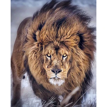 5D DIY Full Square/Round Drill Diamond Painting animal "Angry lion"3D Rhinestone Embroidery Cross stitch Mosaic decor gift