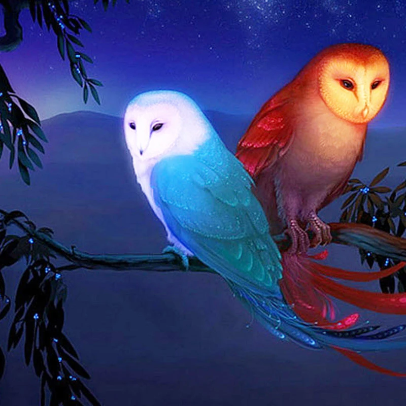 Full Round 5D DIY Drill Diamond Painting Cartoon Bird Embroidery Cross Stitch Decorative Painting Hobbie Needlework
Full Round 5D DIY Drill Diamond Painting Cartoon Bird Embroidery Cross Stitch Decorative Painting Hobbie Needlework