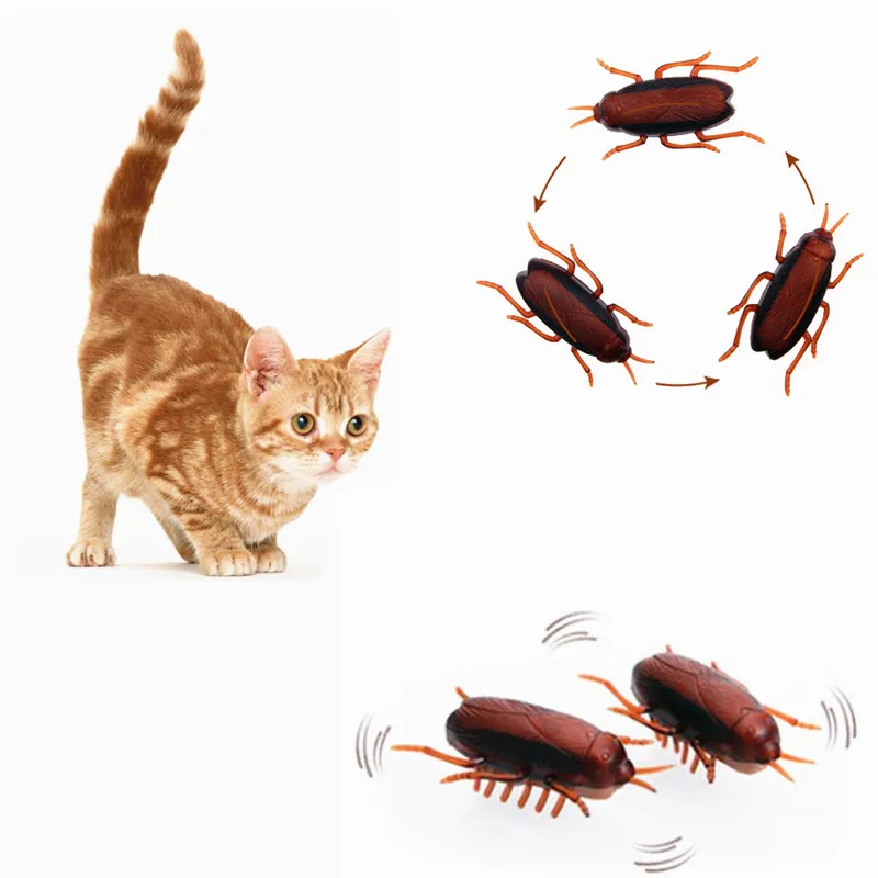 2pcs Electronic Cockroach Cat Toy Cute Cat Interactive Running Toy Battery Powered Eletric Pet Toys
2pcs Electronic Cockroach Cat Toy Cute Cat Interactive Running Toy Battery Powered Eletric Pet Toys