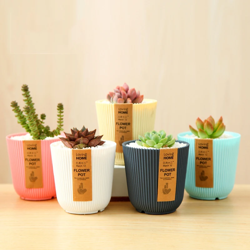 5 SET 3.75'' Multicolored Circle Flower Plant Pots / Planters with Saucer Pallet
5 SET 3.75'' Multicolored Circle Flower Plant Pots / Planters with Saucer Pallet
