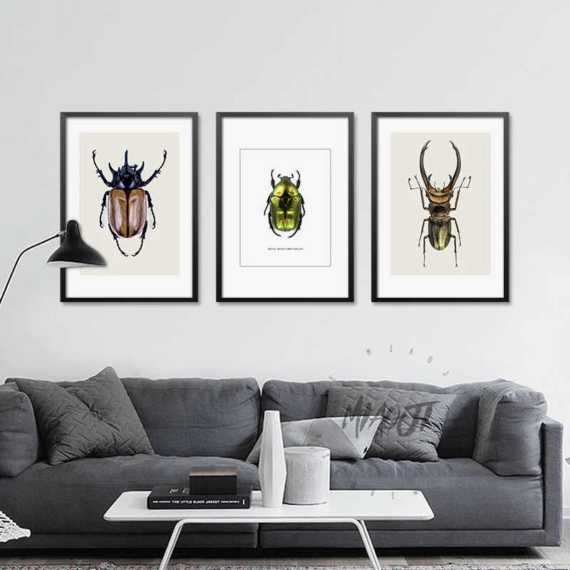 Coleoptera Insects Posters Wall Art Printed Canvas Painting For Room Beetle Decoration Wall Decor Picture
Coleoptera Insects Posters Wall Art Printed Canvas Painting For Room Beetle Decoration Wall Decor Picture