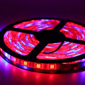 LED Phyto Lamps Full Spectrum LED Strip Light 5050 SMD LED Fitolampy Grow Lights 60leds/m For Greenhouse Hydroponic plant DC 12V
LED Phyto Lamps Full Spectrum LED Strip Light 5050 SMD LED Fitolampy Grow Lights 60leds/m For Greenhouse Hydroponic plant DC 12V