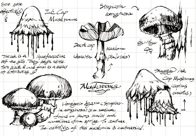 CLEAR STAMPS Mushroom DIY Scrapbook Card album paper craft silicon rubber roller transparent stamps
CLEAR STAMPS Mushroom DIY Scrapbook Card album paper craft silicon rubber roller transparent stamps
