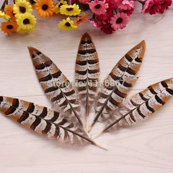 500pcs/lot Chicken feathers Aprox 10cm Pheasant feather for Decoration accessories dance cloth party feather
500pcs/lot Chicken feathers Aprox 10cm Pheasant feather for Decoration accessories dance cloth party feather