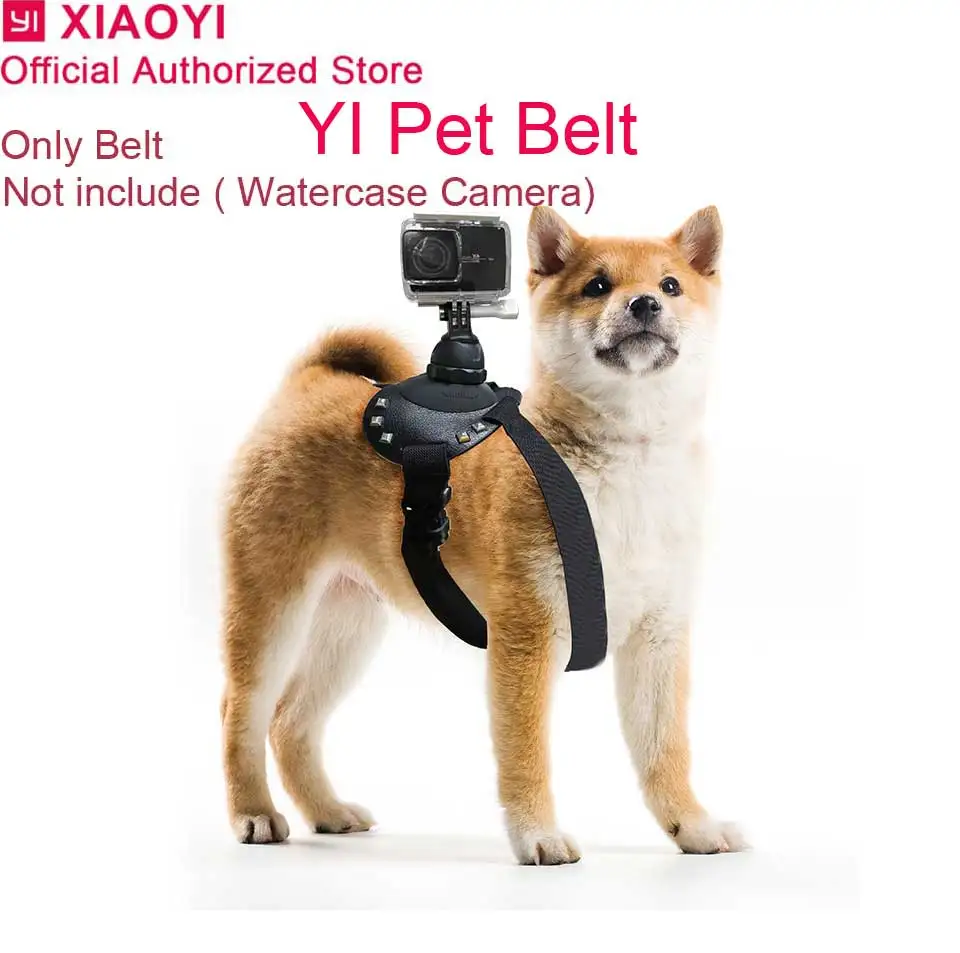 Original yi Pet Belt Chest Strap Shoulder Belt Mount Adjustable for Xiaomi Yi 1080p 4k 4K plus Lite Action Camera Pet Wearing
Original yi Pet Belt Chest Strap Shoulder Belt Mount Adjustable for Xiaomi Yi 1080p 4k 4K plus Lite Action Camera Pet Wearing