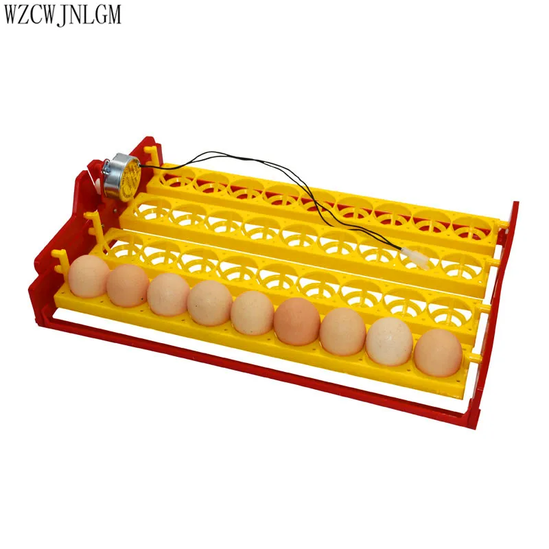 36 Eggs Incubator Chicken Duck And Other Poultry Automatic Incubator Poultry Eggs Poultry Incubation Equipment220V-110V 2pcs
36 Eggs Incubator Chicken Duck And Other Poultry Automatic Incubator Poultry Eggs Poultry Incubation Equipment220V-110V 2pcs