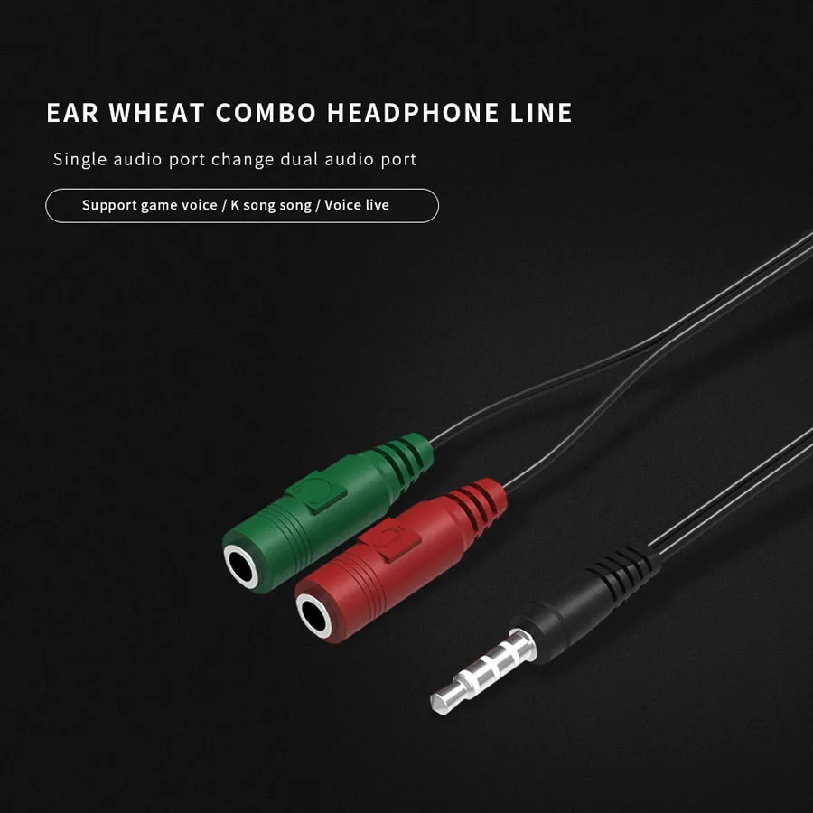 audio cable  (2)