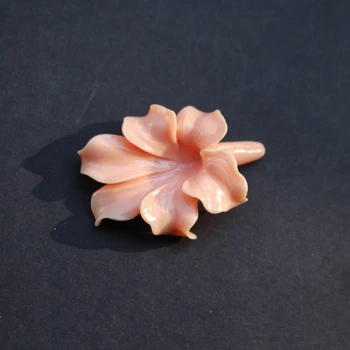 5Pieces 44mm*32mm*19mm Artificial Coral beads Large Coral Leaf beads Cabochon Light Pink color for Jewelry making
5Pieces 44mm*32mm*19mm Artificial Coral beads Large Coral Leaf beads Cabochon Light Pink color for Jewelry making