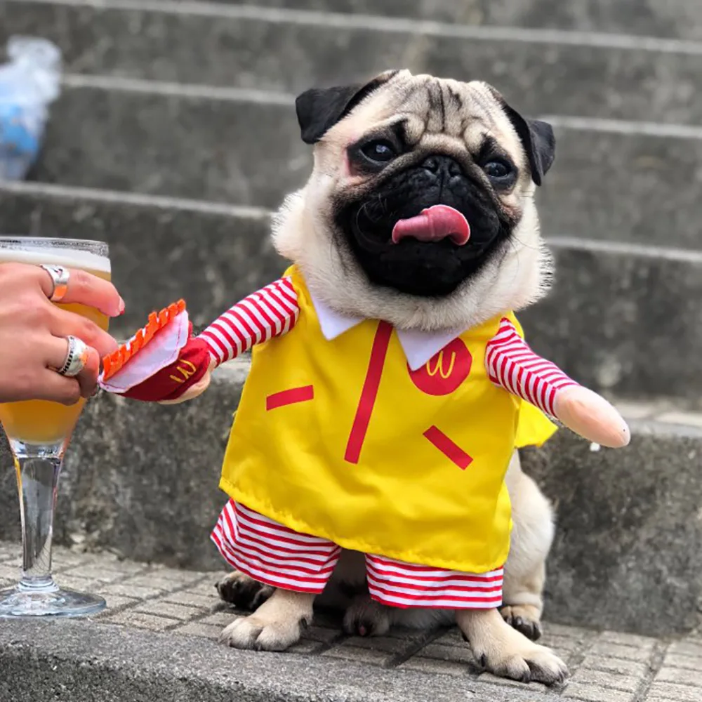 Funny Pet Costumes Waiter M Cosplay Suit Dog Cat Apparel Halloween Christmas New Year Clothes for Dogs Costume for a cat
Funny Pet Costumes Waiter M Cosplay Suit Dog Cat Apparel Halloween Christmas New Year Clothes for Dogs Costume for a cat