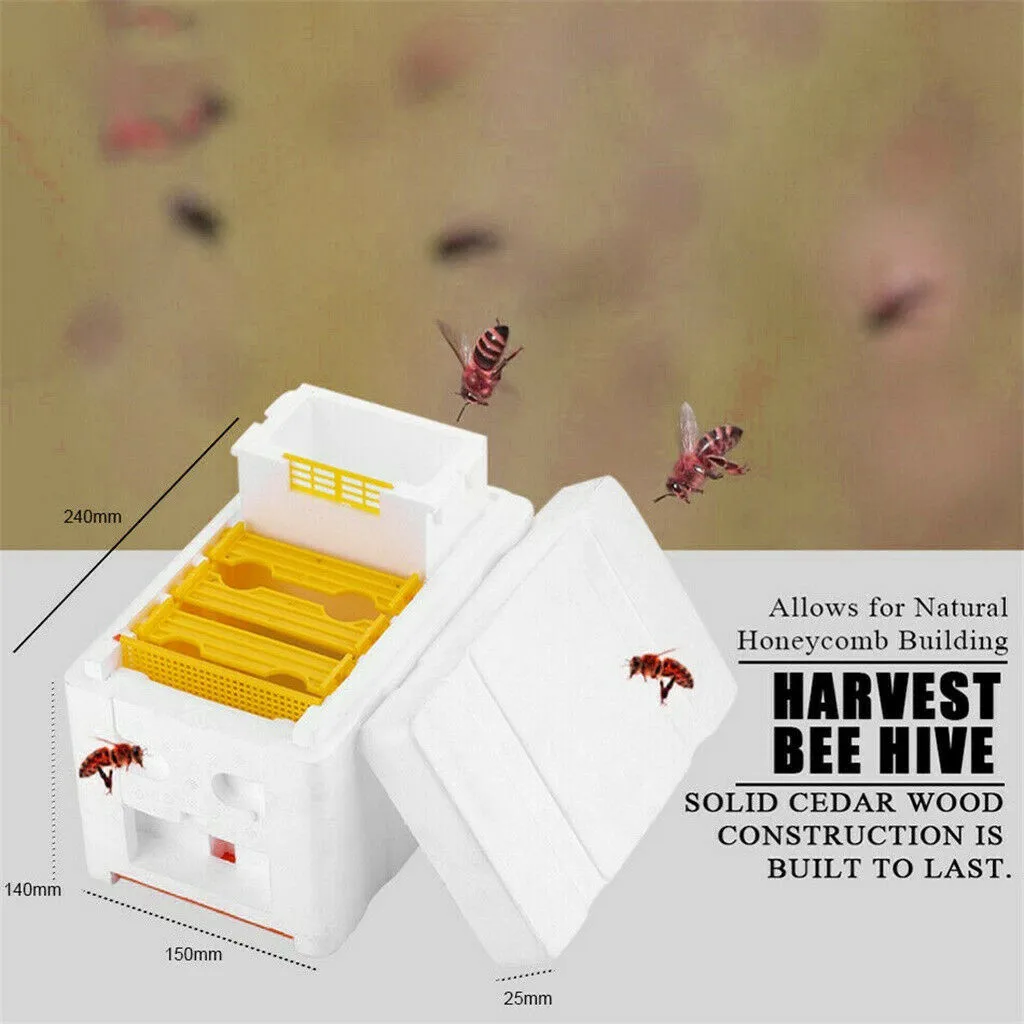 Hive Box Harvest Beehive Queen Pollination Beekeeping For Bee Mating Copulation Queen Reserve Beekeeping Tool Hot Sale Hive Box
Hive Box Harvest Beehive Queen Pollination Beekeeping For Bee Mating Copulation Queen Reserve Beekeeping Tool Hot Sale Hive Box