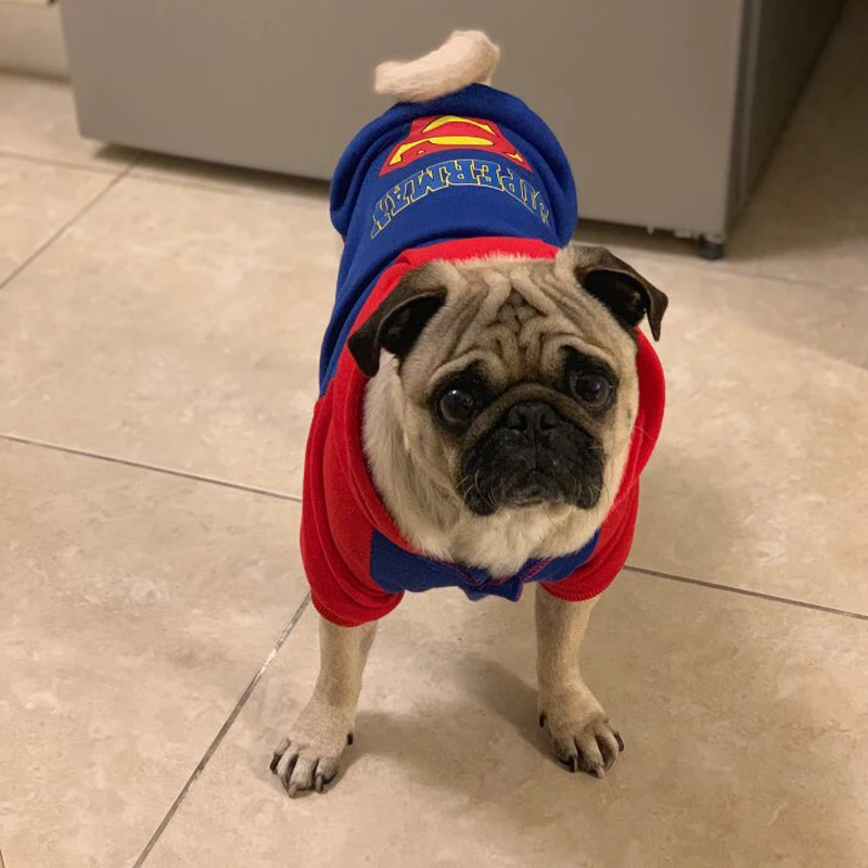 Winter Warm Dog Clothes Cartoon Pet Dog Jacket Coat for Dogs Chihuahua Pug Costumes Bulldog Hoodie Clothing Supplies
Winter Warm Dog Clothes Cartoon Pet Dog Jacket Coat for Dogs Chihuahua Pug Costumes Bulldog Hoodie Clothing Supplies