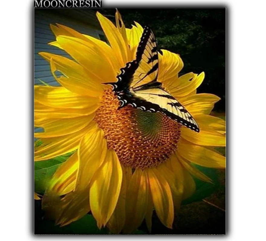 5D Diy Diamond Painting Cross Stitch Sunflowers & Butterflies Needlework Diamond Embroidery Full Round Mosaic Decoration Resin
5D Diy Diamond Painting Cross Stitch Sunflowers & Butterflies Needlework Diamond Embroidery Full Round Mosaic Decoration Resin