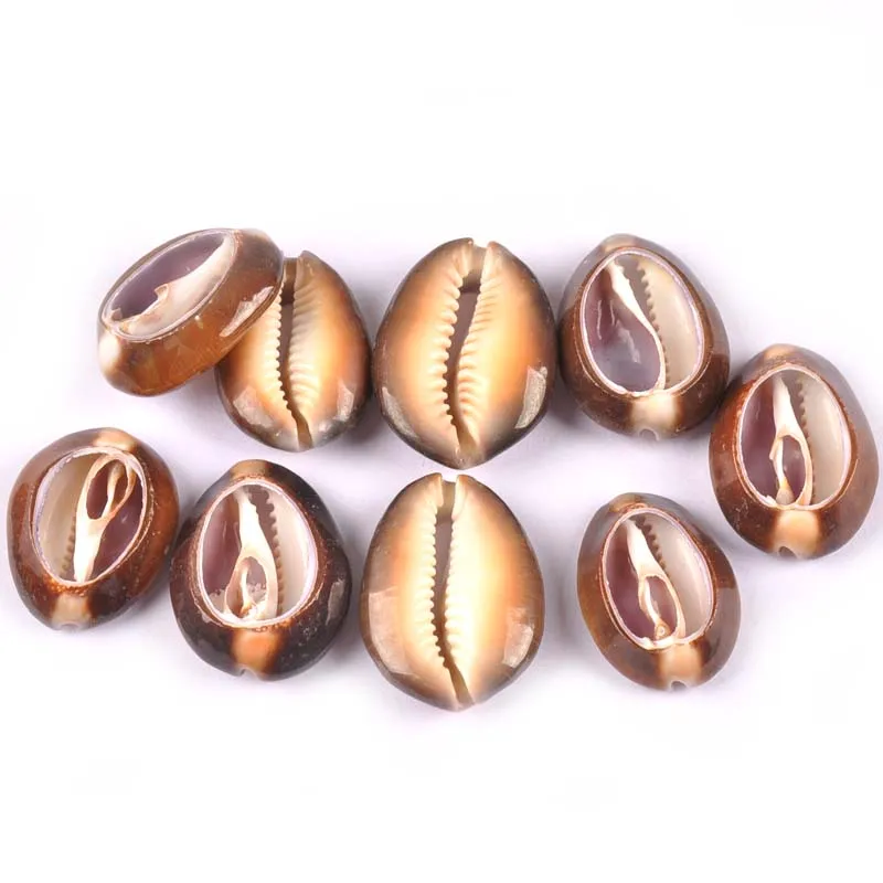 5pcs 2-3.5cm Natural Cut Shells For DIY Handmade Home Decor Scrapbooking Craft Handcraft Seashells Craft Ornaments TR0295
5pcs 2-3.5cm Natural Cut Shells For DIY Handmade Home Decor Scrapbooking Craft Handcraft Seashells Craft Ornaments TR0295
