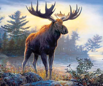 Full Diamond Embroidery Northwoods Moose Diamond Cross Stitch Crystal Square Diamond Sets Unfinished Decorative Diamond Painting
Full Diamond Embroidery Northwoods Moose Diamond Cross Stitch Crystal Square Diamond Sets Unfinished Decorative Diamond Painting