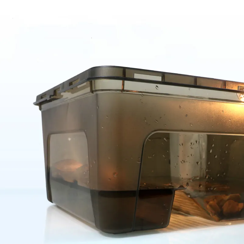 1PCS Drying Platform Turtle Tank Desktop Aquarium Landscaping Tank Yellow Edge Turtle Half Water Turtle Breeding Box
1PCS Drying Platform Turtle Tank Desktop Aquarium Landscaping Tank Yellow Edge Turtle Half Water Turtle Breeding Box