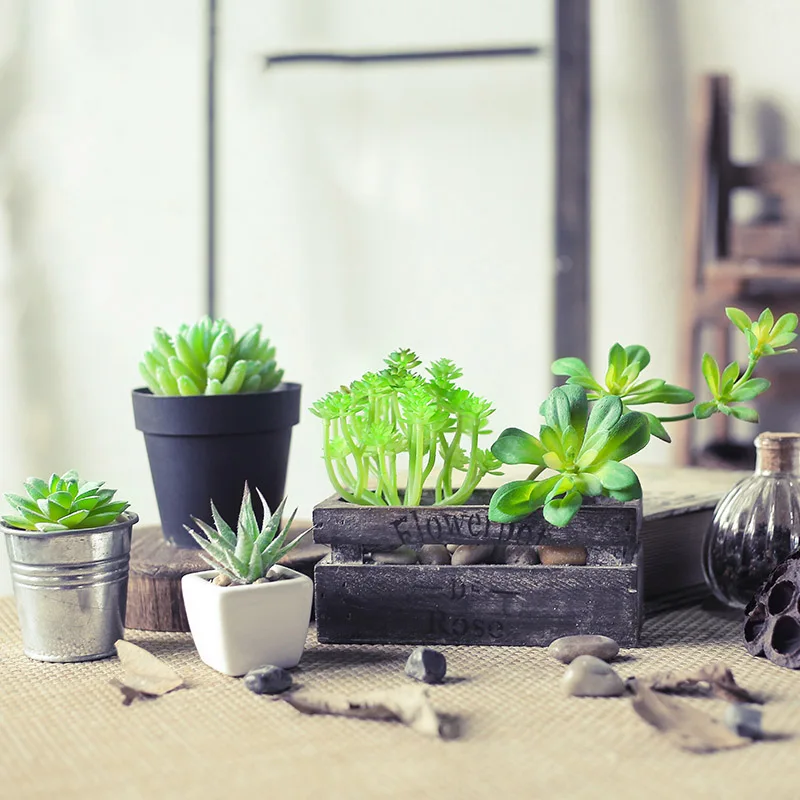 5Piece/set Mini Succulent Plants Plastic Artificial Fall Leaves Flores Diy Suculentas Artificiais Home Office Table Decoration
5Piece/set Mini Succulent Plants Plastic Artificial Fall Leaves Flores Diy Suculentas Artificiais Home Office Table Decoration